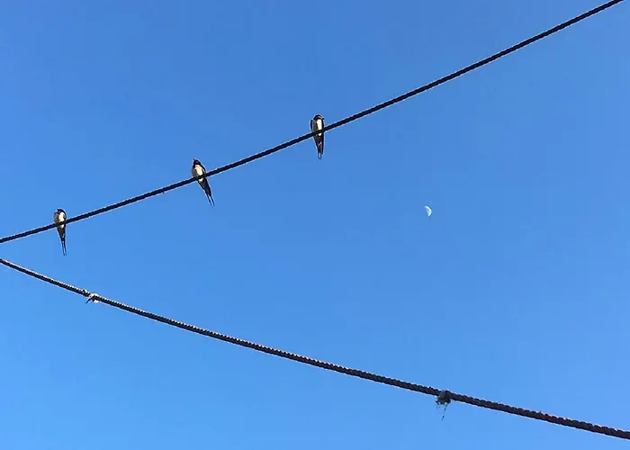 Κάμπινγκ Pipowagen 